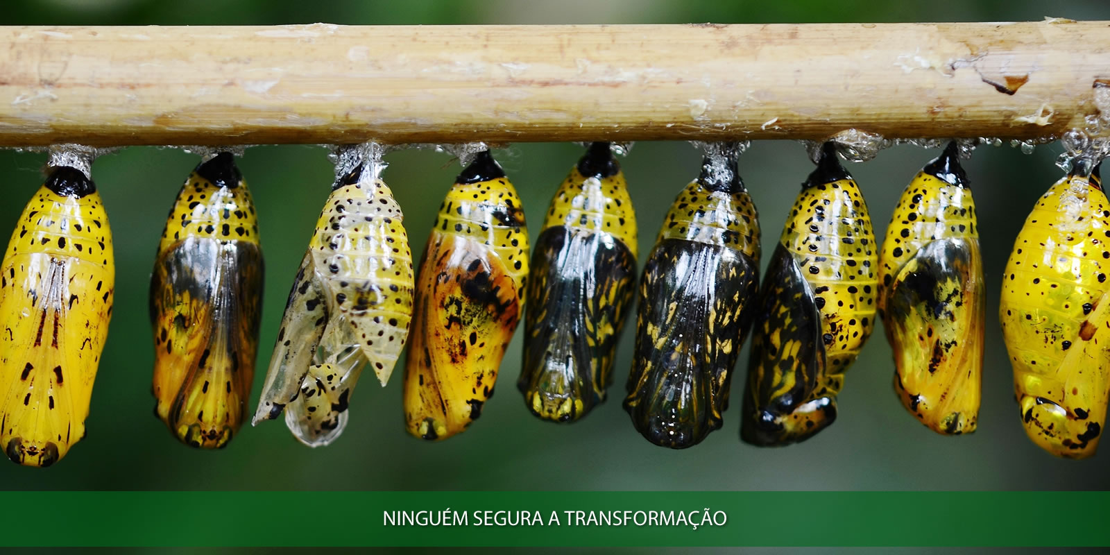 Figura 3 - CONTABILIDADE HUMANIZADA. PORQUE CONTABILIDADE TAMBÉM É FEITA DE PESSOAS